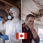Reactive Asbestos Inspection in Canada